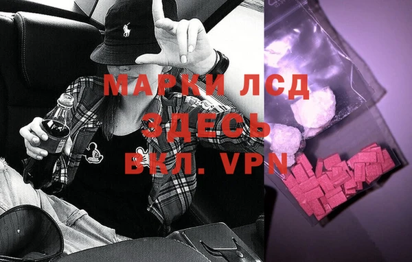 СК Верея