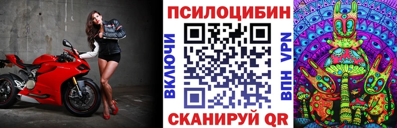 Галлюциногенные грибы Cubensis  блэк спрут   Ветлуга 